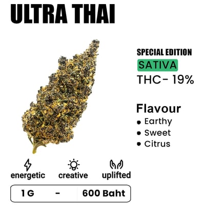 Ultra Thai