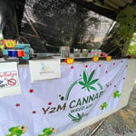 Y2M CANNABIS WEED 420