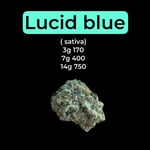 lucid blue