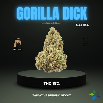 Gorilla Dick THC 19%