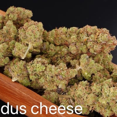 Exodus cheese
