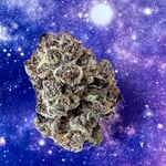 Wonderfarm cannabis