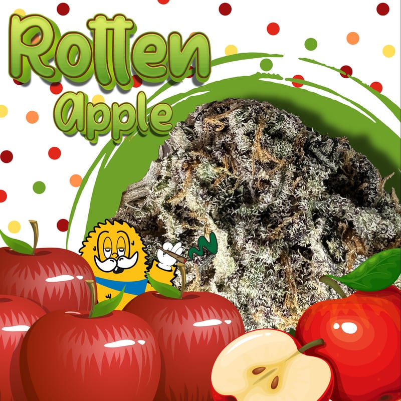 洋楽  Flush / Rotten Apple Royal Flush- Rotten Apple (OFFICIAL VIDEO) - YouTube