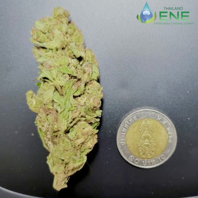 ENE THAI-Hemp product image