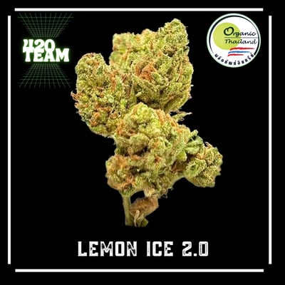 LEMON ICE 2.0 (Organic)