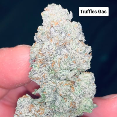 GAS TRUFFLE 