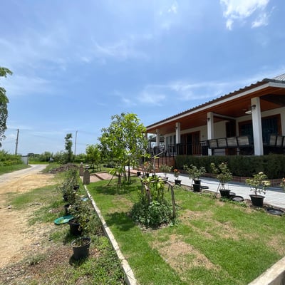 บ้านสวนแก้วกัญ&กัญชา&Cannabis shop&cafe&大麻&กัญชาสุพรรณบุรี product image