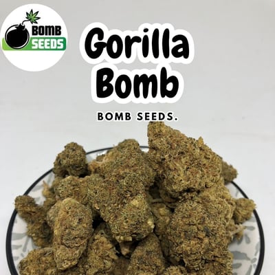 Gorilla Bomb