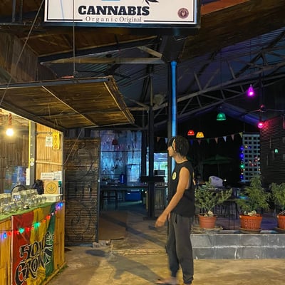 JZ cannabis shop