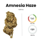 Amnesia Haze