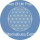 Flower Of Life Project