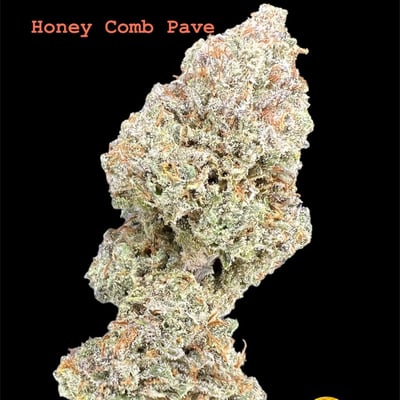 Honey Comb Pave 