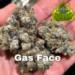 Gas Face by Infamous Gardens