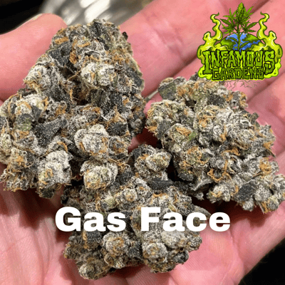 Gas Face by Infamous Gardens