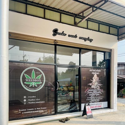 Weedbox at kaengkhoi Saraburi - วีดบ็อกซ์แก่งคอย product image