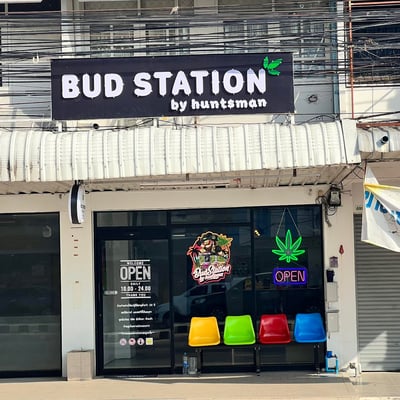 Bud Station by huntsman product image