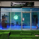 Seedhouse Cannabis Exotic shop