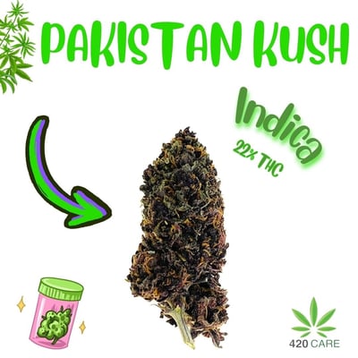 Pakistani Chitral Kush