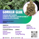 Gorilla Glue 