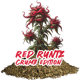 Red Runtz ( Crumb )
