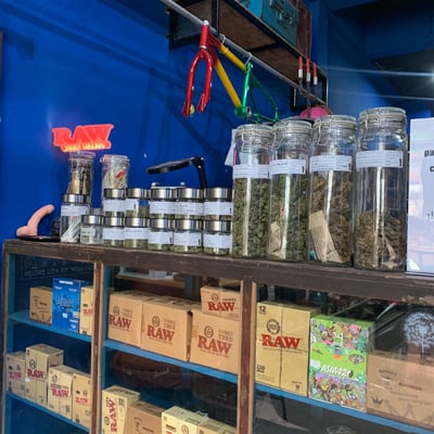 Rudeboy stoned shop - Cannabis shop (ร้านขายกัญชา) product image