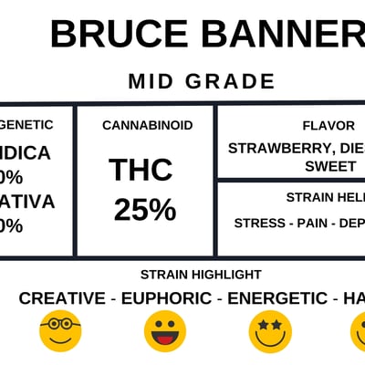 Bruce Banner