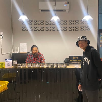 Dr.Mellow - Cannabis shop (ร้านขายกัญชา) product image
