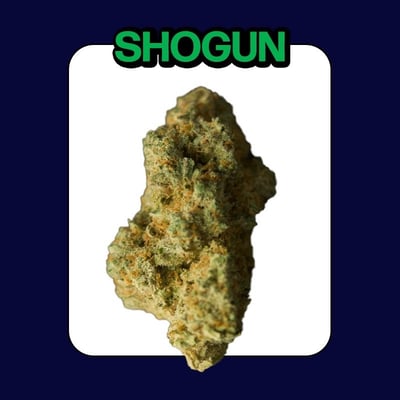 Shogun