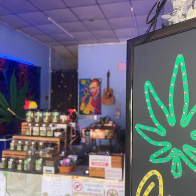 ร้านกัญชา Helloweed Kpp Cannabis shop product image