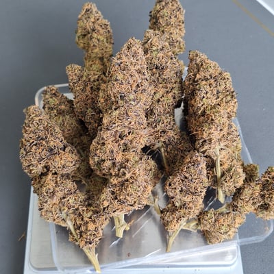 Mae Sariang Cannabis Store product image