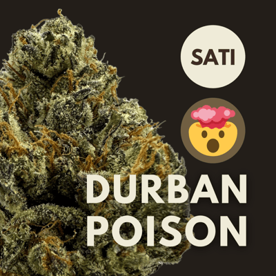 Durban Poison