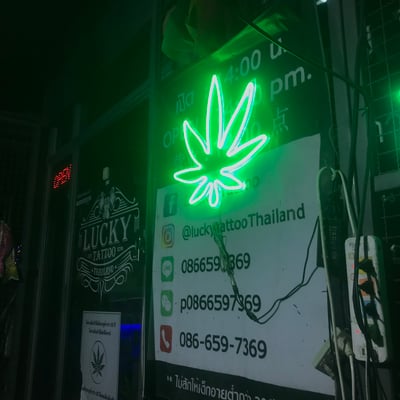 Lucky Cannabis ร้านกัญชาแม่สอด product image