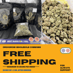 Orgagrow Cannabis Wholesale