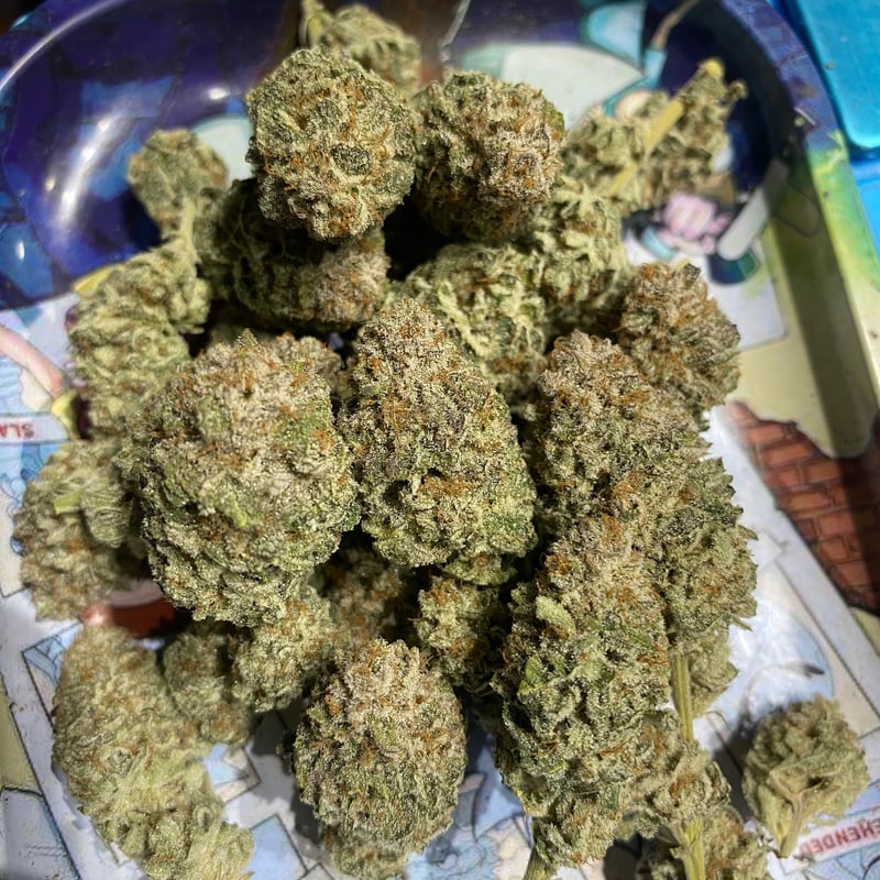 Cake n Cream Cannabis Flower at OG SHOP (cannabis Rayong) in Rayong