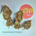 Granddaddy Purple