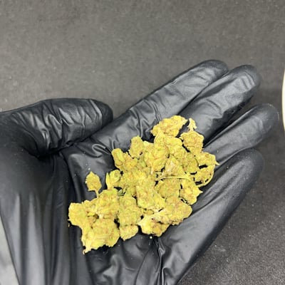 Grand daddy purple