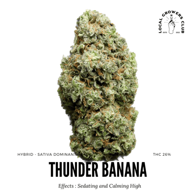 Thunder Banana