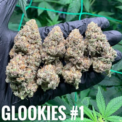 Glookies #1 (Purple)