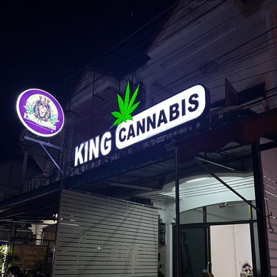 คิงส์ แคนนาบิส KING Cannabis91