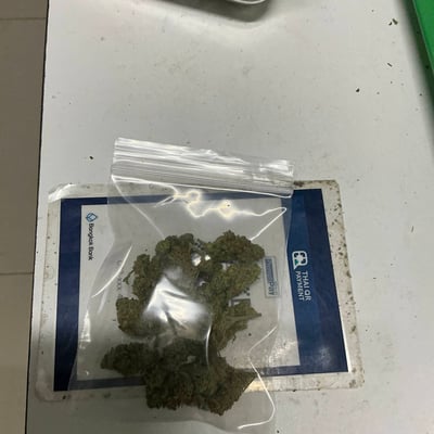 กัญชา-ใบกระท่อมราคาส่ง By Jame smoke product image