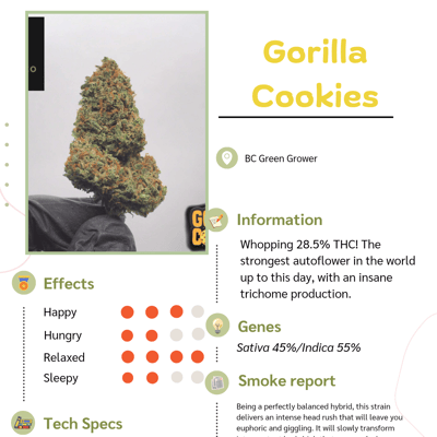 Gorilla cookies