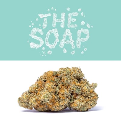 THE SOAP [HYBRID]