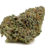 Alien Breath