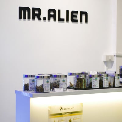 Mr.Alien product image