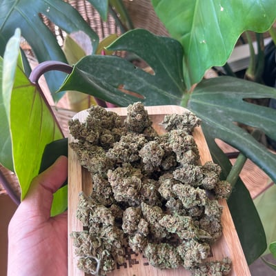 WEED BONG Klongwong Songkhla , 大麻, 雑草, Onkruid, Mauvaise herbe, Сорняк product image