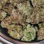 AMNECIA HAZE