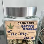 Big Tree Cannabis
