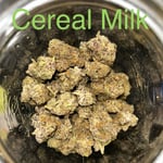 Cereal Milk