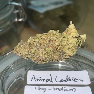 Animal Cookies