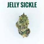 Jelly Sickle